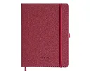 ASL2027_rojo_lrg.webp