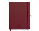 ASLE2027_rojo_lrg.webp