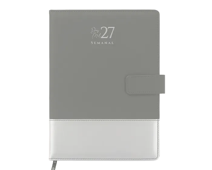 ASP2027_gris_lrg.webp