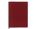 AS2027_rojo_lrg.webp