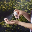 SLD 019 ANTIBACTERIAL LECCE