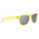 T461 GAFAS "STY LIFE"