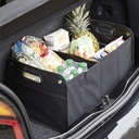 T528 ORGANIZADOR "WIZ"