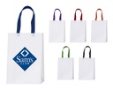 A2531 BOLSA ECOLÓGICA ASTON