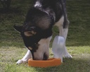 A3034 RECIPIENTE CON BASE PARA MASCOTAS DOGGY