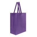 SIN 216 BOLSA LAREDO 