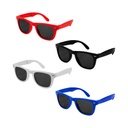 LEN 009 LENTES PLEGABLES DOPLA
