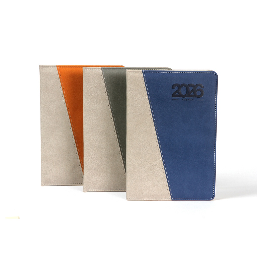 EX-081 AGENDA DIARIA CAMERI