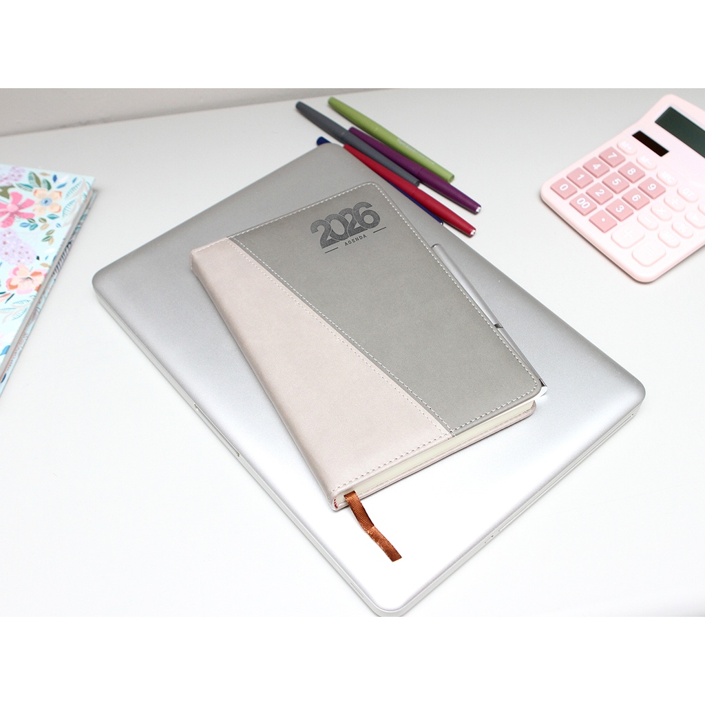 EX-081 AGENDA DIARIA CAMERI