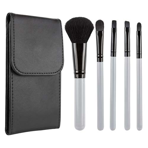 DAM 006 SET DE BROCHAS ANNIA