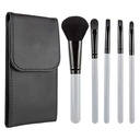 DAM 006 SET DE BROCHAS ANNIA