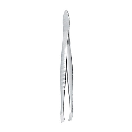 DAM 011 SET DE MANICURE LAMPUNG
