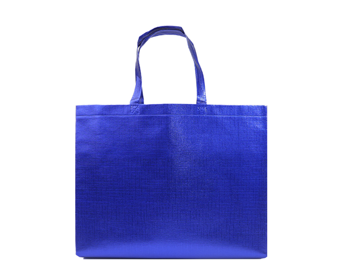 A3187 BOLSA GLEAM L