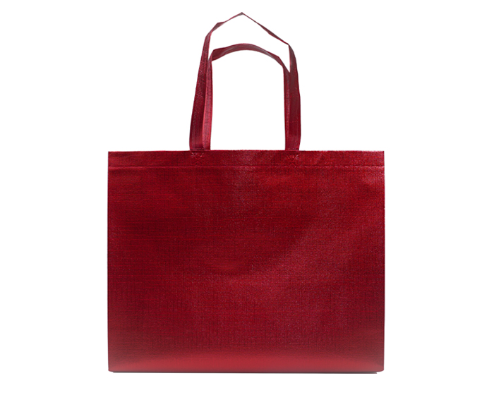 A3187 BOLSA GLEAM L