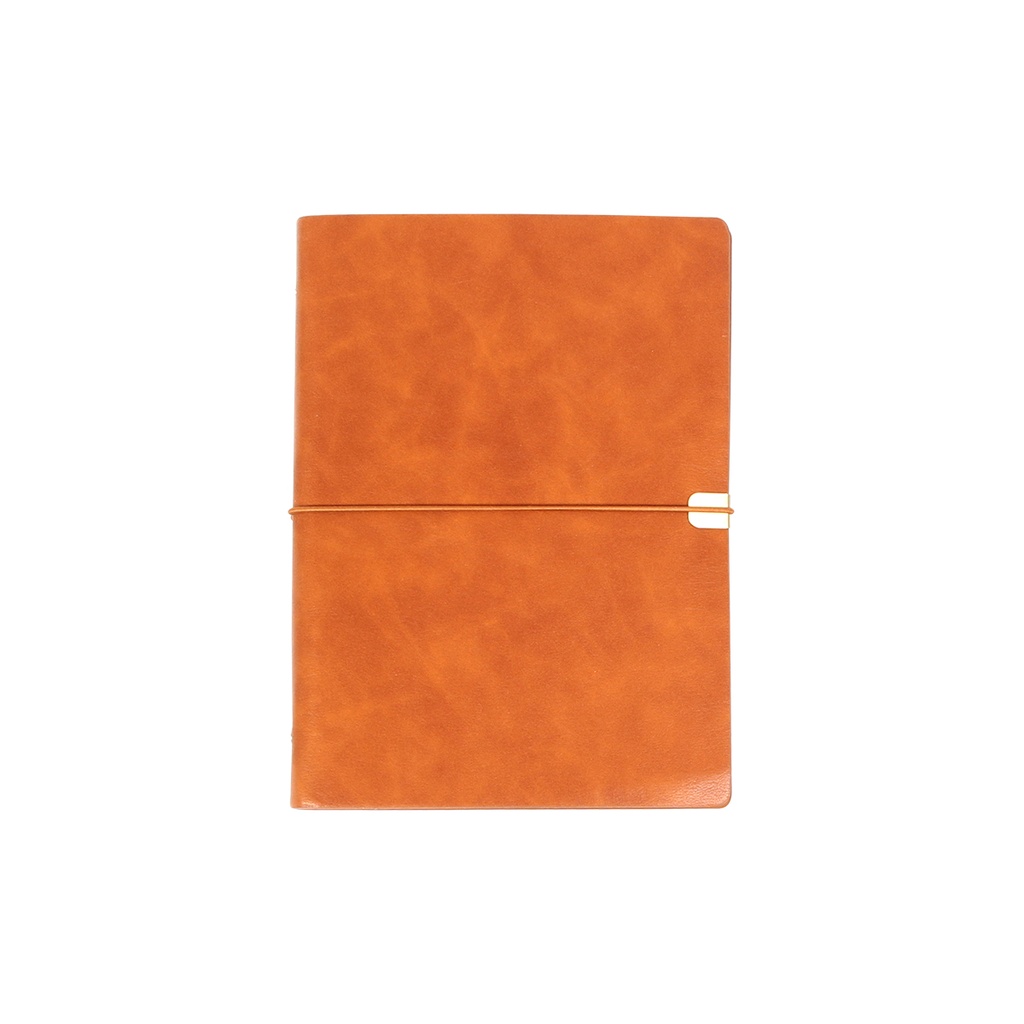 EX-091 CARPETA CORVINO 