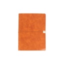 EX-091 CARPETA CORVINO 