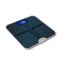 HM-055 BASCULA NYERI