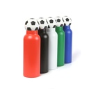 TE-270 BOTELLA MURZUK 