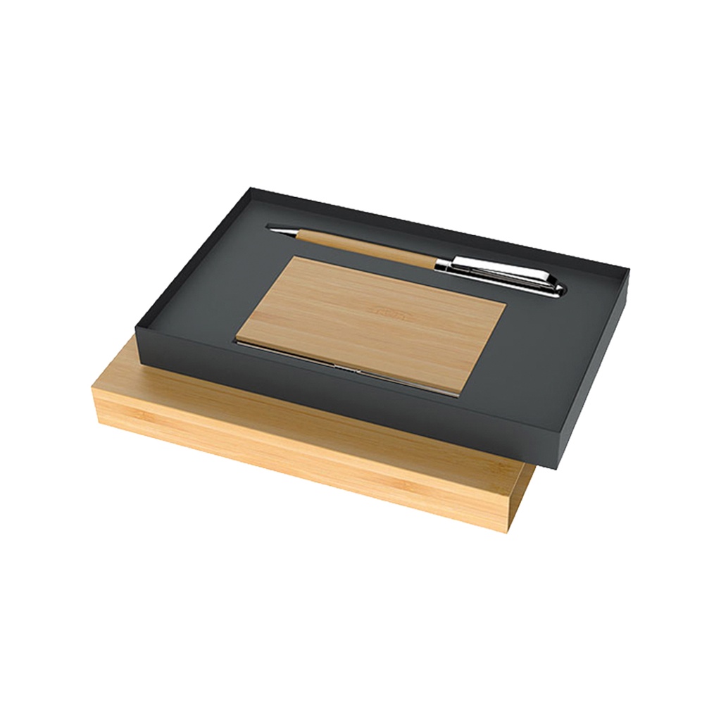 ST-032 SET DE PLUMA Y TARJETERO DARAYA