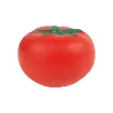 soc-017-r_1_1.webp