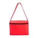 SIN 156 LONCHERA ZIAR 