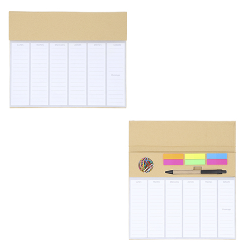 LE 029 PLANIFICDOR PLAN, CARTON