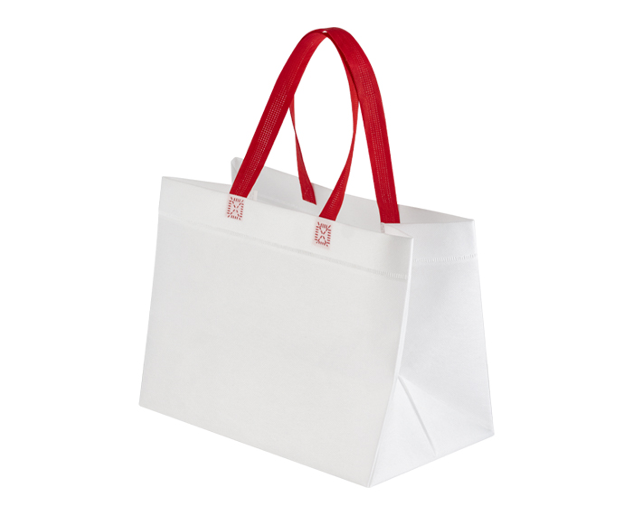 A3205 BOLSA ECOLOGICA DELIVERY