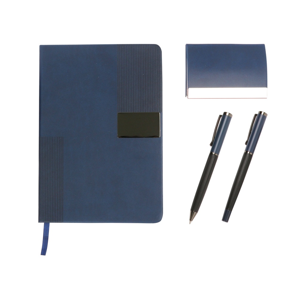 EX-087 SET BRUZ  (Gris)