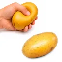 LP 47 ANTIESTRES POTATO