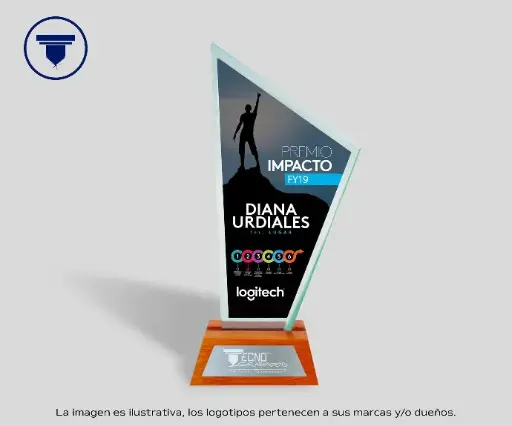 [REC-31-JADE] REC-31-JADE Reconocimiento Punta.