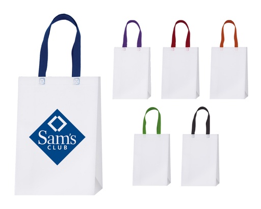 A2531 BOLSA ECOLÓGICA ASTON