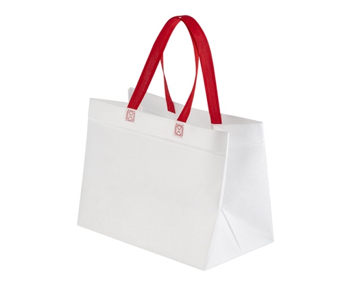 A3205 BOLSA ECOLOGICA DELIVERY